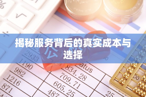阿克苏揭秘服务背后的真实成本与选择