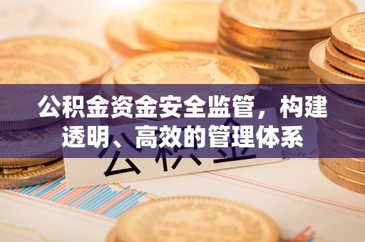 阿克苏公积金资金安全监管，构建透明、高效的管理体系