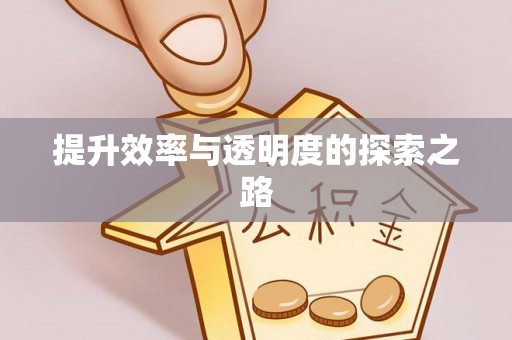 阿克苏提升效率与透明度的探索之路
