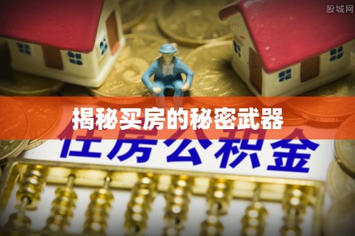 阿克苏揭秘买房的秘密武器