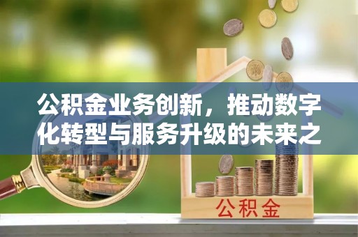 阿克苏公积金业务创新，推动数字化转型与服务升级的未来之路