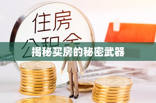 阿克苏揭秘买房的秘密武器