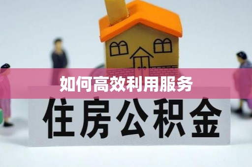 阿克苏如何高效利用服务
