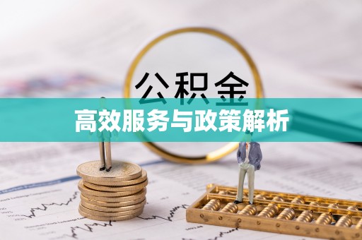 阿克苏高效服务与政策解析