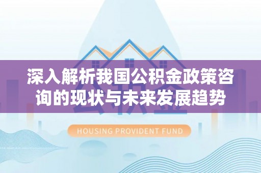 阿克苏深入解析我国公积金政策咨询的现状与未来发展趋势
