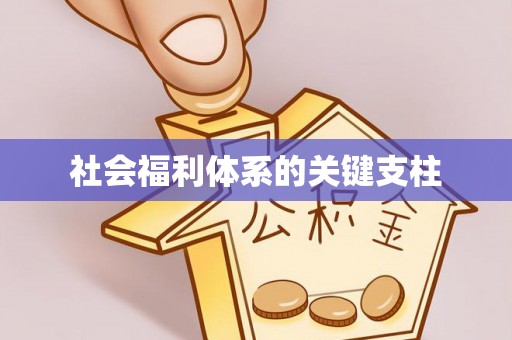 阿克苏社会福利体系的关键支柱