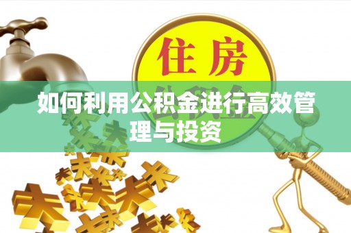 阿克苏如何利用公积金进行高效管理与投资
